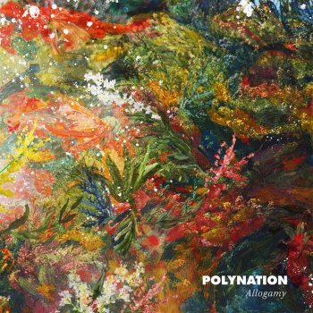 Polynation Why You, Pt. II