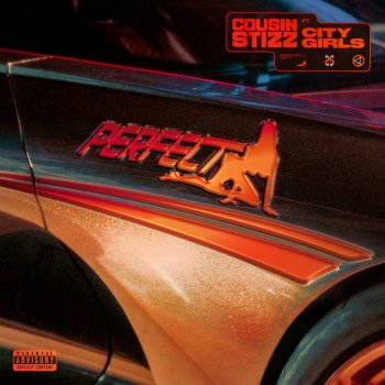 Cousin Stizz feat. City Girls Perfect