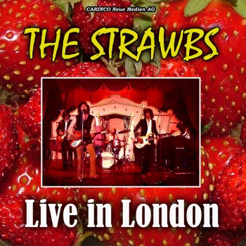 Strawbs The Golden Salamander