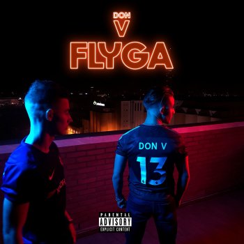 Don V Flyga