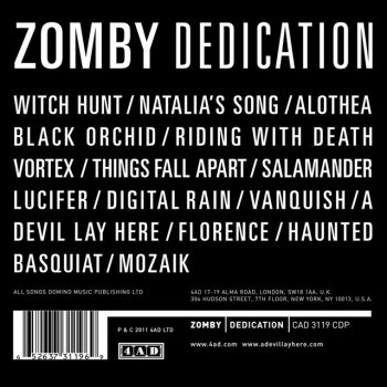 Zomby Digital Rain