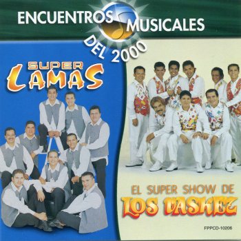 Super Lamas Mi Vida Sin Ti