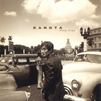 KANGTA Pine Tree