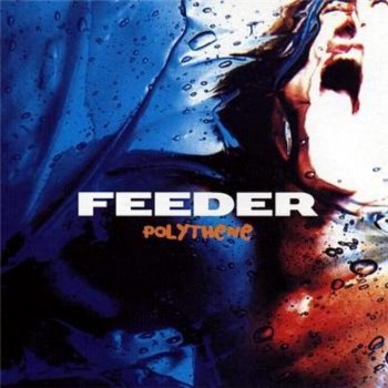 Feeder My Perfect Day