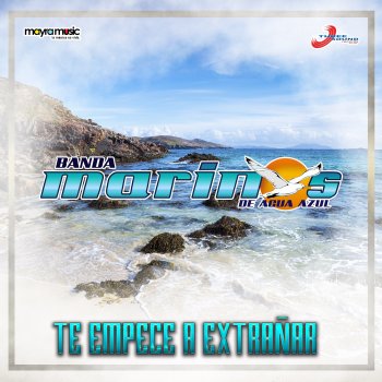 Banda Marinos Ya No Quiero Rogarle
