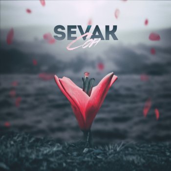 Sevak Сон