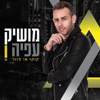 Moshik Afia קוקו או פזור