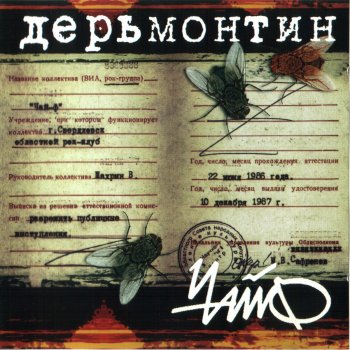 Чайф Ветер-шалун