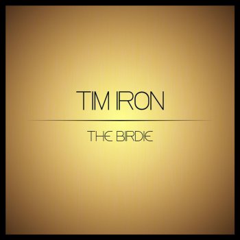 Tim Iron feat. V Ray Not the Same