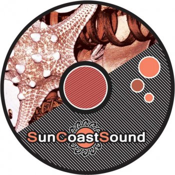 Dario Nunez,David Vio Sea Sky - Original Mix