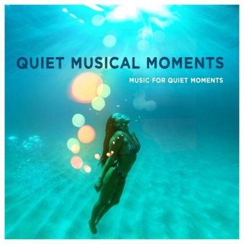 Music for Quiet Moments Story End