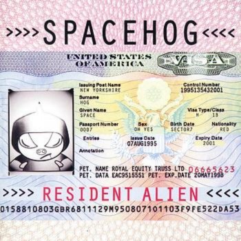 Spacehog In the Meantime