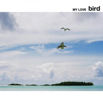 bird 青い珊瑚礁