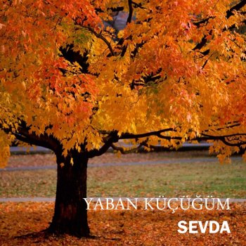 Sevda Kölemiyim Ben Allahım
