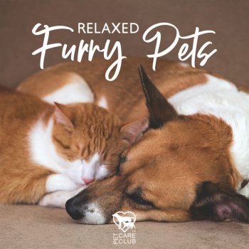 Pet Care Club Anxiety Relief