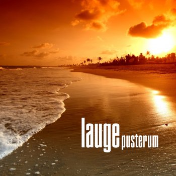 Lauge From Bottom to Shore