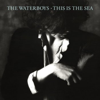The Waterboys Miracle - 2004 Remaster