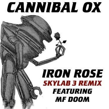 Cannibal Ox Iron Rose (Skylab 3 Remix Instrumental)