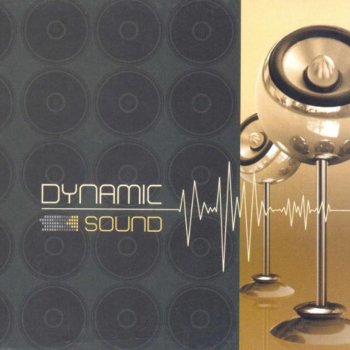 Dynamic Dynamic Sound Remix