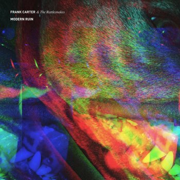 Frank Carter & The Rattlesnakes Modern Ruin