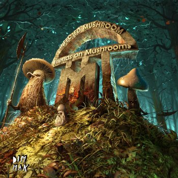 Infected Mushroom & Astrix Astrix on Mushrooms