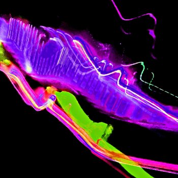 Исполнитель Ohster, альбом Ultraviolet Visions