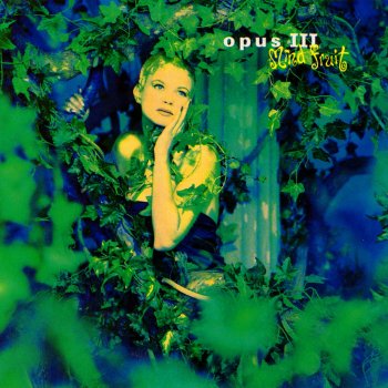 Opus III Up