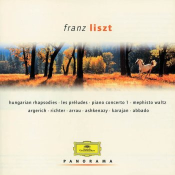 Franz Liszt Sonata for Piano in B minor: Allegro energico -