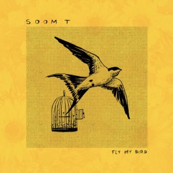 Soom T feat. Ichiyo Fly my Bird - Ichiyo Remix