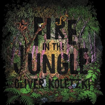 Oliver Koletzki Fire in the Jungle