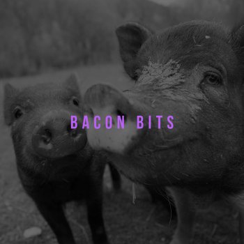 RITTO Bacon Bits (Instrumental)