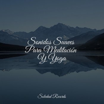 Zona Música Relaxante feat. Masaje Relajante Masters & Canciones De Cuna Para Dormir Bebes Ambiente Sin Estrés