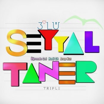 Seyyal Taner Öğren De Gel