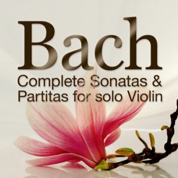 Aaron Rosand Partita No. 3 for Solo Violin in E Major, BWV 1006: II. Loure
