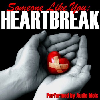 Audio Idols Someone Like You