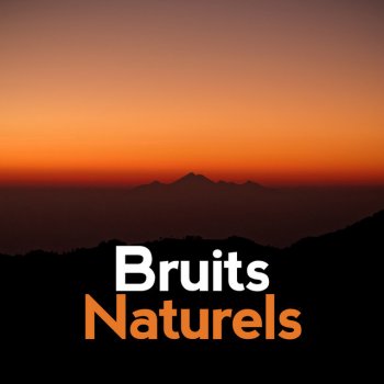 Bruits naturels Rhythm of the Water