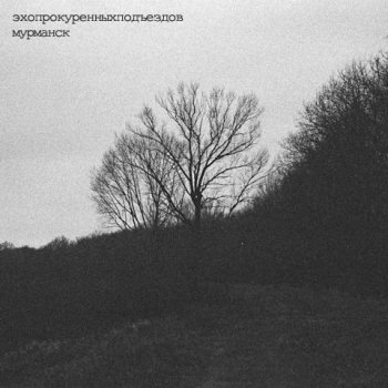 эхопрокуренныхподъездов Честерфилд