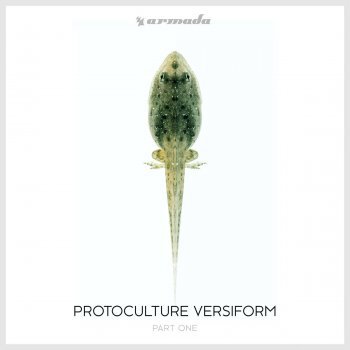 Protoculture Saisei