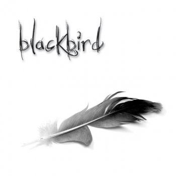 Blackbird If You Want It