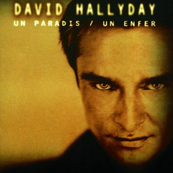 David Hallyday Virtuel