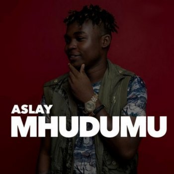 Aslay Mhudumu