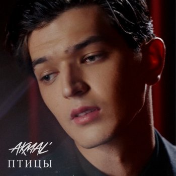 Исполнитель Akmal', альбом Птицы - Single