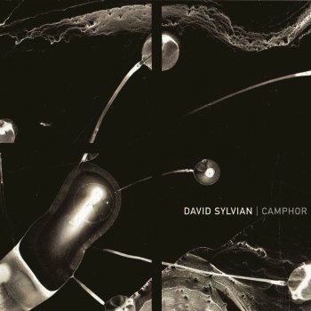 David Sylvian Mother and Child (Remix)