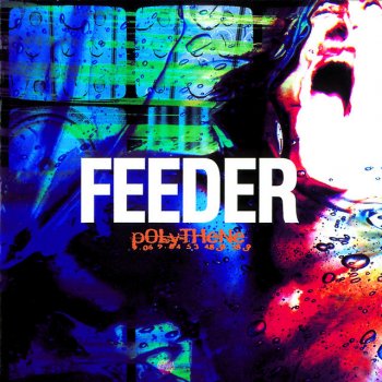 Feeder Undivided