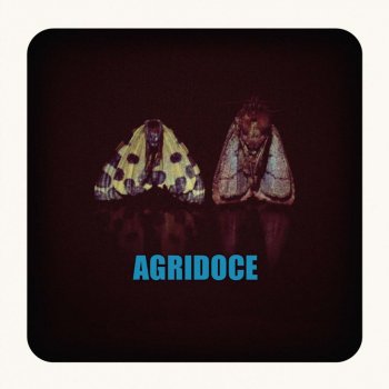 Agridoce Ne parle pas