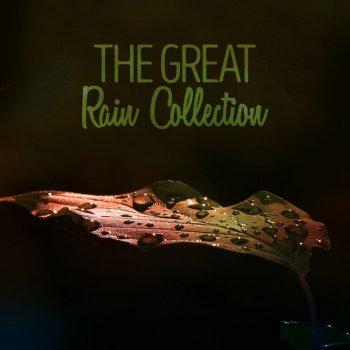 Various Artists The Rain Sets in Once More