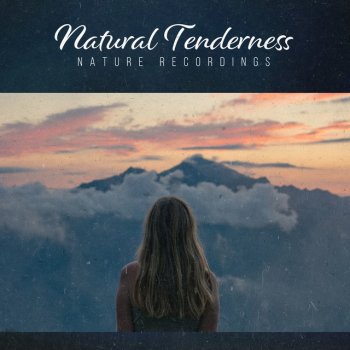 Nature Recordings Mallards Following