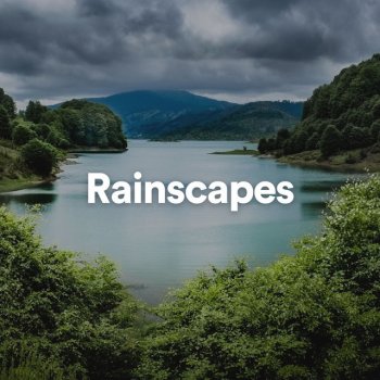 Recording Nature Real Rain
