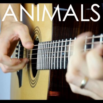 Gareth Evans Animals