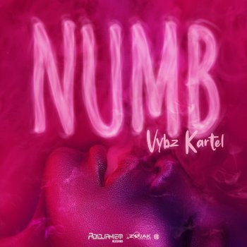 Vybz Kartel Numb